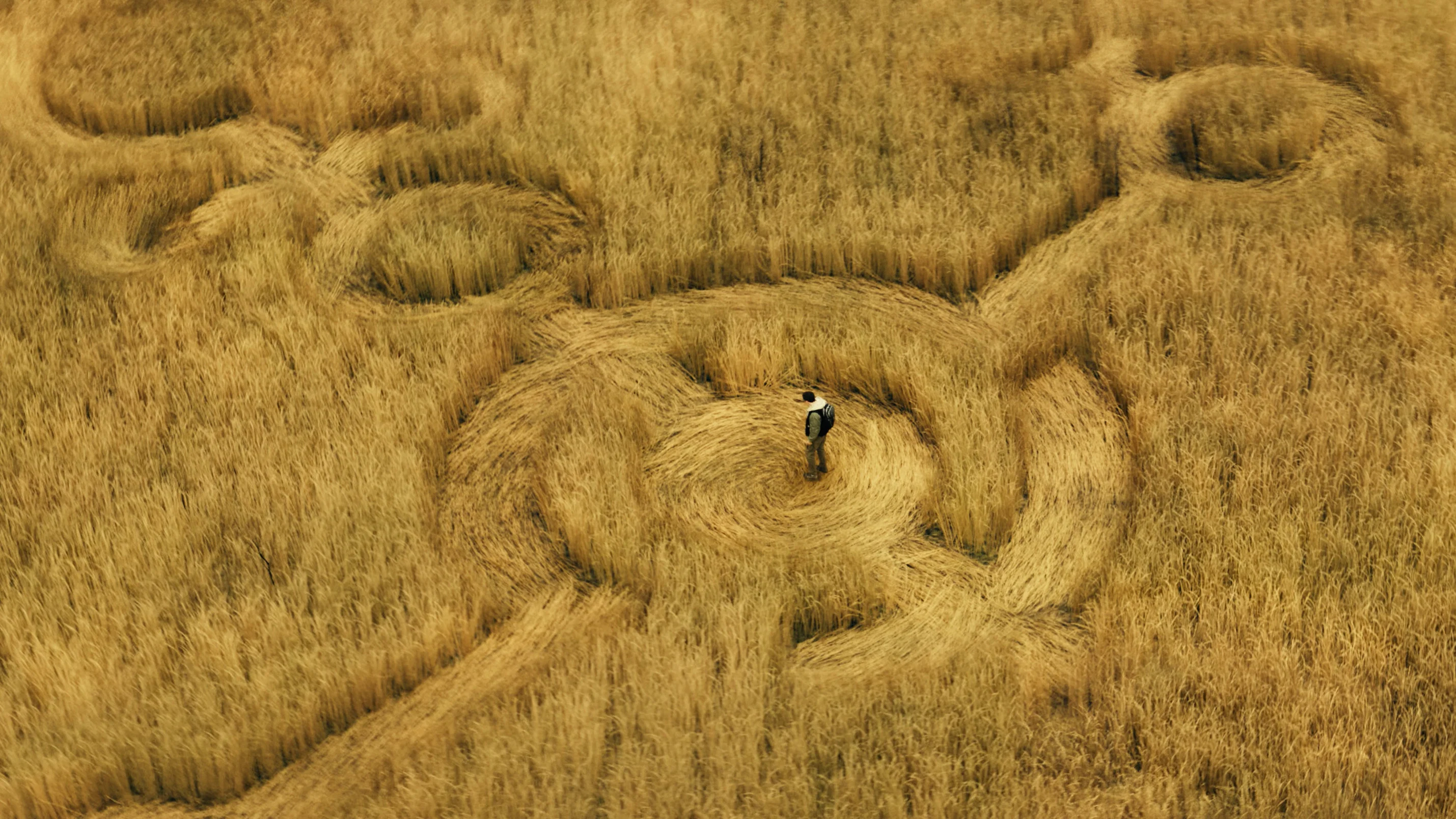 Crop circles in a field