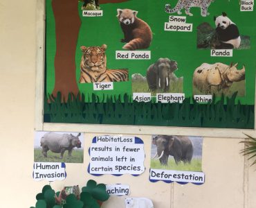 2a7920dd-da6e-432c-8216-ef52510d1093