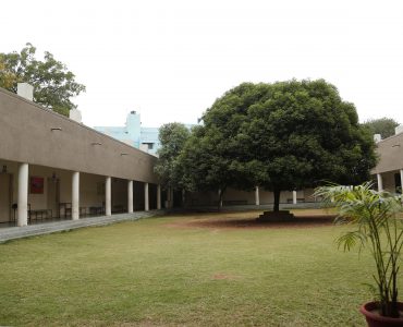 _ANI5914
