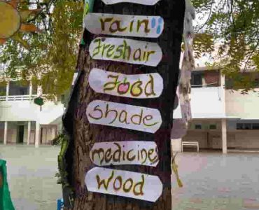 5_img_20200211_wa003_apT5t