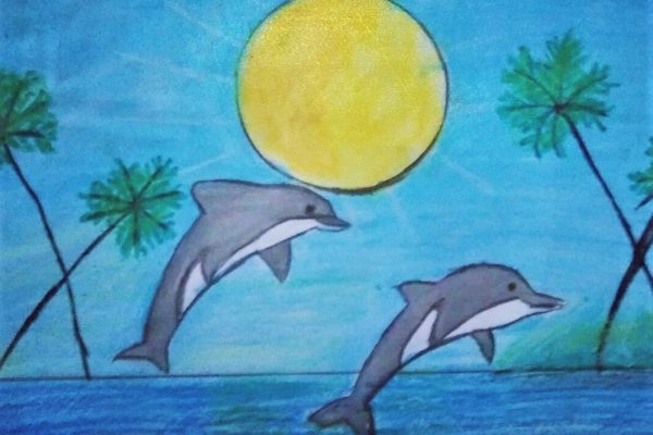 Dolphin -Aditi Govindu 6D