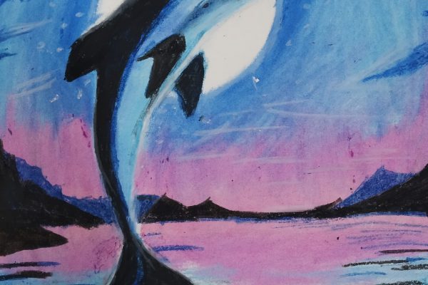 Dolphin -Ravishanker 7E
