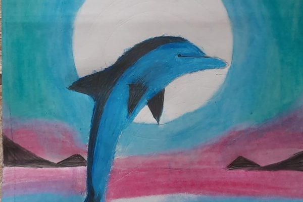 Dolphin - Rishitha 6C