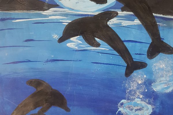 Dolphins playing -Reva Gupta 6A