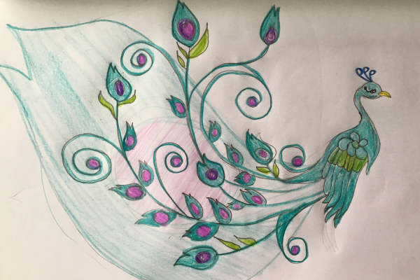 National Bird -Peacock-Ritisha 6C