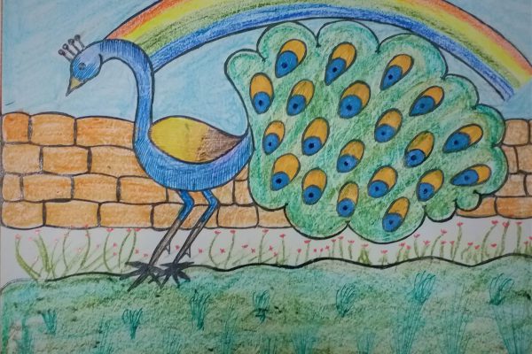 Peacock-Mohd.Qurmoshi 7E