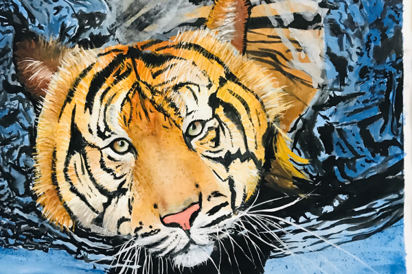 Tiger zainab-8D