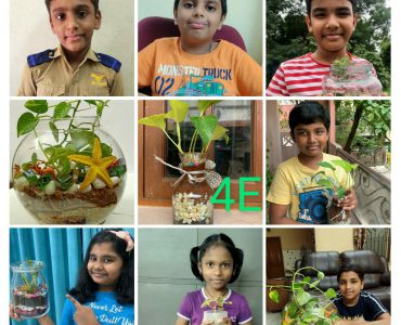 Terrarium - 4 E