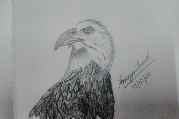 Ananya 7G