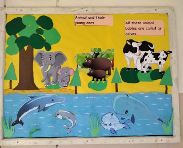 IMG_20230306_125455182 IMG_20230306_125455182