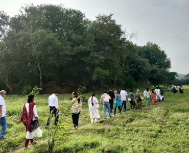 IMG20241201085131 IMG20241201085131