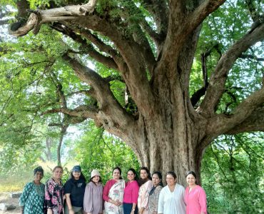 IMG20241201090631 IMG20241201090631