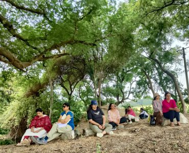 IMG20241201092322 IMG20241201092322