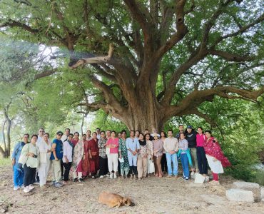 IMG20241201101438_01 IMG20241201101438_01