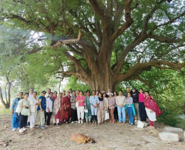 IMG20241201101439 IMG20241201101439