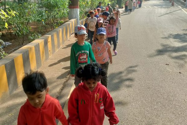 School Picnic 5 School Picnic 5