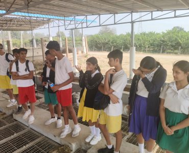 WhatsApp Image 2025-01-18 at 6.28.49 PM