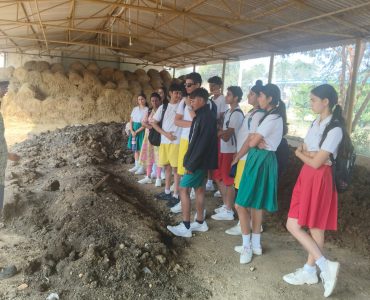 WhatsApp Image 2025-01-18 at 6.28.50 PM (1)