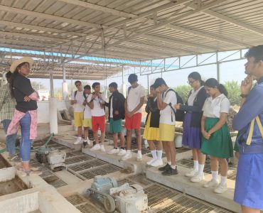 WhatsApp Image 2025-01-18 at 6.28.50 PM (2)