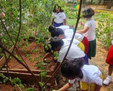 WhatsApp Image 2025-06-26 at 06.19.21 - Copy