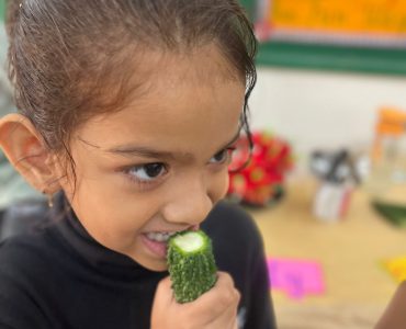 Te Whariki Maori (7) Te Whariki Maori (7)