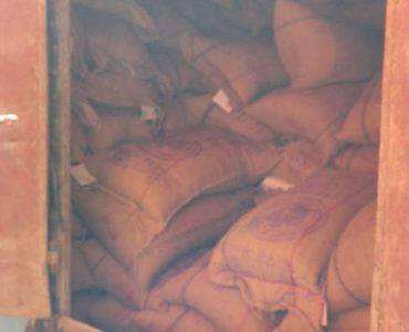 Field Visit to Food Corporation of India Godown (9)