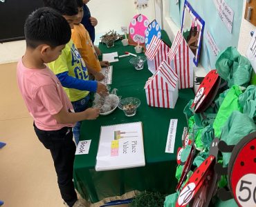 Math Provocation Table (11)