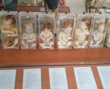 Educational Visit to Kamineni Institute of Medical Science and Research, LB Nagar (8)