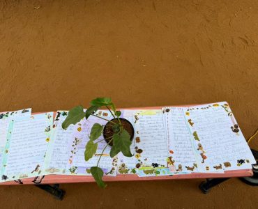 WhatsApp Image 2026-01-08 at 9.50.41 AM (3)